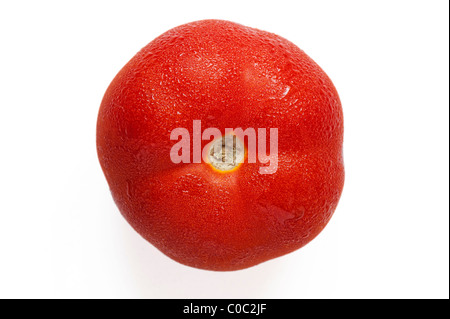 Tomaten und Kondensation auf weißem Hintergrund Stockfoto