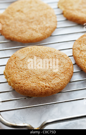 Cookies Kekse auf ein Kuchengitter Stockfoto