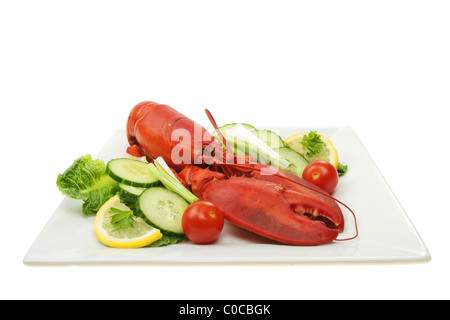 Ganzen gekochten Hummer mit Salat auf einem Teller Stockfoto