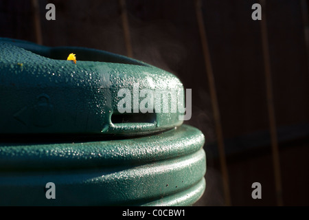 Biotonne im Sonnenlicht dämpfen Stockfoto