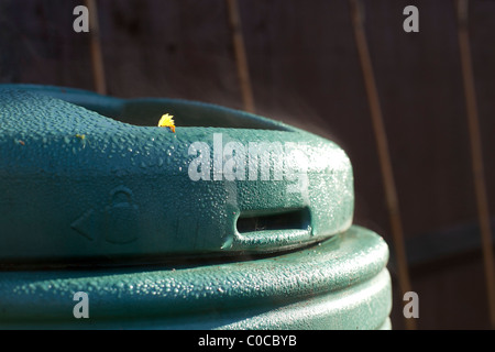 Biotonne im Sonnenlicht dämpfen Stockfoto