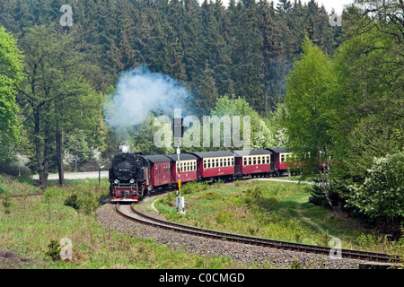 Harzer Schmalspurbahnen Dampfzug für Nordhausen verlassen Drei Annen Hohne im Harz Mountains Region Deutschland Stockfoto