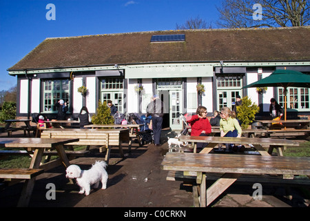 Hellen Wochentag Wintermorgen im Inn auf der Park ein beliebtes Café in Verulamium Park, St Albans, Hertfordshire, England, UK Stockfoto