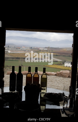 Spanien La Rioja Ansicht des Dorfes David Moreno Bodegas Weinberg im Dorf Badarán im Herbst Stockfoto