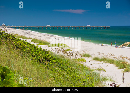 Juno Beach Pier, Juno Beach, einer der produktivsten Meeresschildkröte Nistplätze in der Welt, Florida, Atlantik