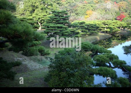 Bäume und See in Ritsurin Koen Gärten, Takamatsu, Shikoku, Japan. Stockfoto