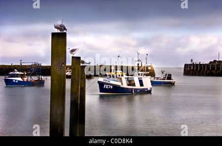 Folkestone Harbour, Kent Stockfoto