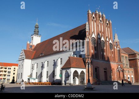 Rathaus und Museum Junge Kunst, Frankfurt Oder, Brandenburg, Deutschland Stockfoto