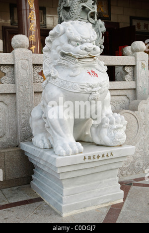 Chinesische Guardian Löwen am Eingang eines taoistischen Tempels. Stockfoto