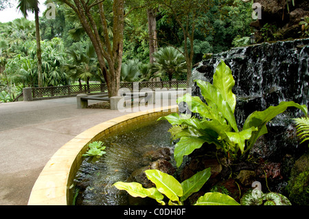 Asia, Singapur (Sanskrit für Löwenstadt). National Orchid Garden befindet sich in den Botanischen Garten. Stockfoto