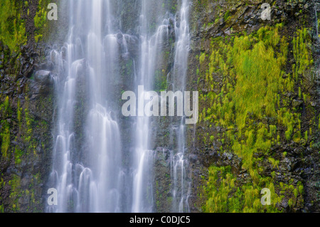 Waimoku Falls, am Ende der Pipiwai Trail, Haleakala National Park Kipahulu Bezirk, Hana Küste, Maui, Hawaii. Stockfoto