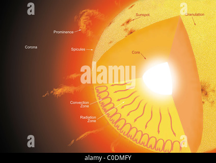 Eine Querschnittsansicht der Sonne, zeigt seine verschiedenen Teile und die Ströme, die darin fließen. Stockfoto