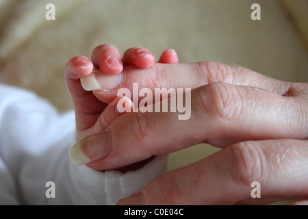 Neugeborenes Baby mit seiner Mutter finger Stockfoto