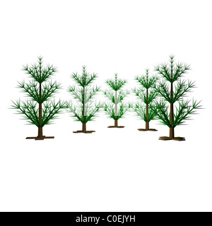 Grünes neues Jahr Weihnachten Tannen, sind nicht verkleidet, 3d, einen weißen Hintergrund. Stockfoto