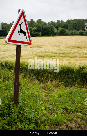 Ein Warnschild, Darstellung von Hirsch, durch eine Straße in La Ramée, Frankreich. Stockfoto