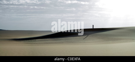 Einsame Gestalt in der Wüste Sahara Stockfoto