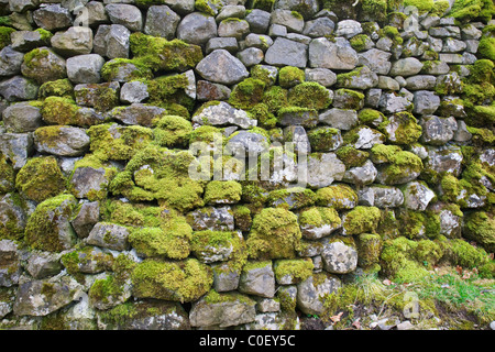 Textur - alte Trockenmauer mit Moos bedeckt. Stockfoto