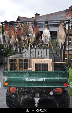 Ente & Fasan schießen Stockfoto