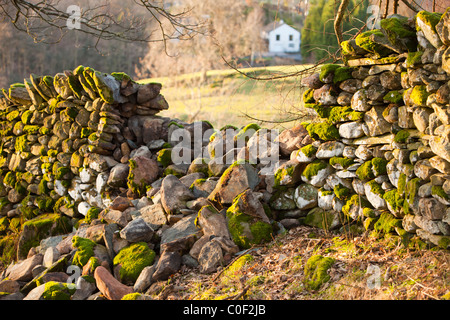 Eine Trockenmauer brach in Ambleside, Lake District, Großbritannien. Stockfoto