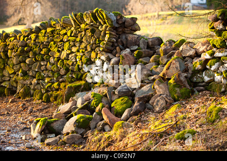 Eine Trockenmauer brach in Ambleside, Lake District, Großbritannien. Stockfoto