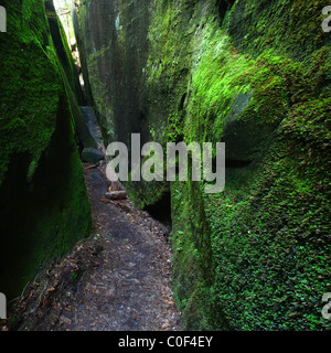 Moosigen Canyon in Alabama Stockfoto