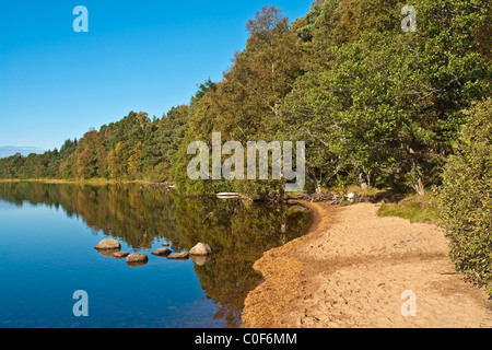 Die sandigen Ufer des Loch Morlich in Schottland Glen mehr Cairngorm National Park Stockfoto