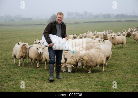 Adam Henson Cotswolds Bauern füttern seine Schafe auf Adams Hof. BBC Countryfile TV-Moderator mit seinen Schafen. Stockfoto