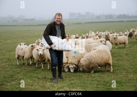 Adam Henson Cotswolds Bauern füttern seine Schafe auf Adams Hof. BBC Countryfile TV-Moderator mit seinen Schafen. Stockfoto