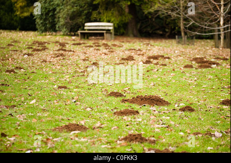 Grass bedeckt in Maulwurf Hügel, Gloucestershire, England, Vereinigtes Königreich Stockfoto