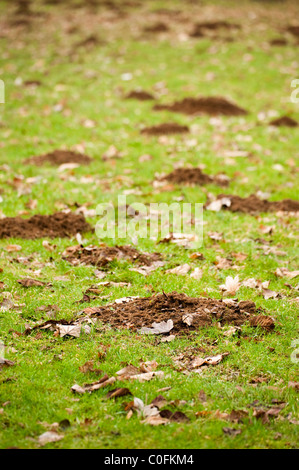 Grass bedeckt in Maulwurf Hügel, Gloucestershire, England, Vereinigtes Königreich Stockfoto