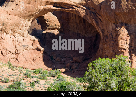 Doppelbogen, Bucht von Höhlen, unaufhörlichen, erosive Kräfte des Windes, Scheuern, Sand, Regen, Wetter, Arches-Nationalpark, Utah, USA Stockfoto