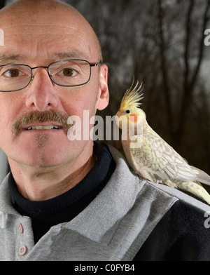 Mann mit einem Haustier Jugendkriminalität weiblichen Pearl nymphensittich mit angehobenem Crest auf seiner Schulter Stockfoto