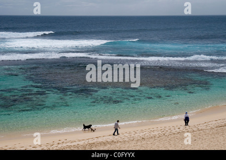 Spaziergang mit dem Hund in der Nähe von Yallingup, Südwesten Western Australia Stockfoto