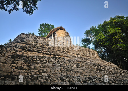 Ruinen im Dschungel bei Coba Yucatan Mexiko Stockfoto