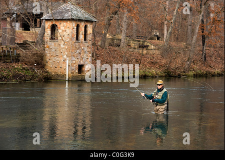 Fischer, Bennett Springs State Park, Libanon, Missouri zu fliegen Stockfoto