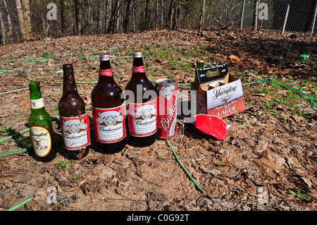 Bierflaschen und Dosen links außen nach einer Party. Stockfoto