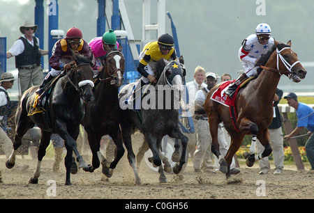 Große braune mit jockey Kent Desormeaux (R), als er den Start Tor während der 140. Ausführung die Belmont Stakes verlässt und die Stockfoto