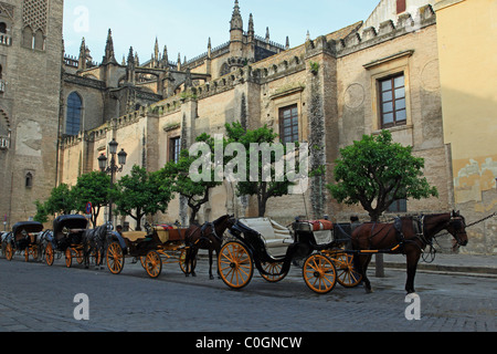 Kutschen warten außerhalb Kathedrale von Sevilla Stockfoto