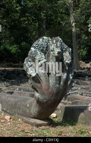 Geschnitzte Sandstein-Naga-Kopf in der Nähe der Leper King Terrasse, Angkor Thom, Angkor Wat Komplex, Kambodscha. Stockfoto