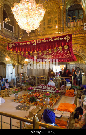 Lesen Sie das Granth Sahib in Hari Mandir (göttlichen Tempel), goldenen Tempel von Amritsar, Punjab, Indien Stockfoto