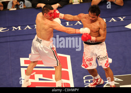 Manny Pacquiao (r) schlug David Diaz (l) durch technischen KO in der neunten Runde für den WBC-Titel leicht im Mandalay Bay Stockfoto