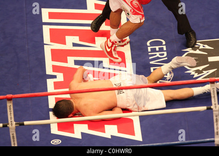 Manny Pacquiao (l) schlug David Diaz (r) durch technischen KO in der neunten Runde für den WBC-Titel leicht im Mandalay Bay Stockfoto