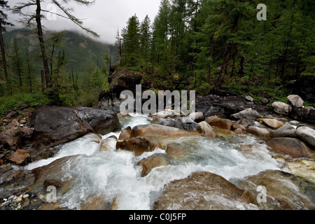 Sibirien. Stream der Gebirgsfluss unter Steinen, Felsen und Bäume. Sajan-Gebirge. Wilde Natur. Republik Burjatien. Russland. Stockfoto