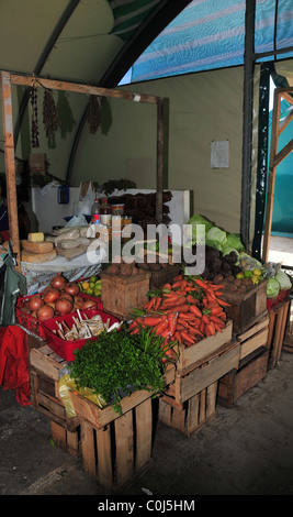 Gemüsemarkt Stall Kartoffeln Karotte Kohl Honig Käse getrocknete Algen geräucherte Muscheln, kommunale Feria, Ancud, Chiloé, Chile Stockfoto