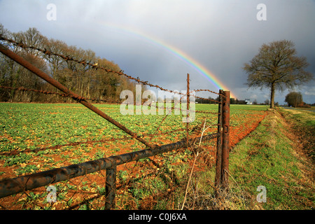 Regenbogen über einer ländlichen Landschaft Poitou-Charante, Frankreich Stockfoto