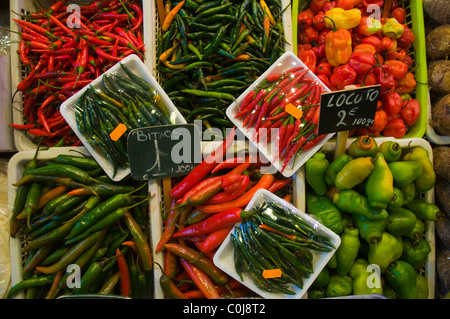 Chilischoten in La Boqueria Markt Halle Barcelona Catalunya Spanien Mitteleuropa Stockfoto