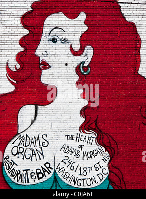 Landmark Wandbild einer dralle Dame auf der Seite des Vereins Frau Orgel am 18. Street NW in Adams Morgan in Washington D.C. Stockfoto