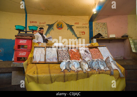 Fisch stand auf dem Fischmarkt im Hafen von Marina Agadir Marokko-Südafrika Souss Stockfoto