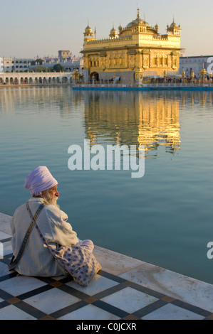 Sikh-Pilger sitzen Sarovar (Heilige Pool der unsterblichen Nektar) mit Hari Mandir (göttlichen Tempel) hinter goldenen Tempel in Amritsar, Punjab, Indien Stockfoto