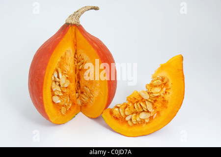 Red Kuri Kürbis (Cucurbita Maxima Uchiki Kuri). Geöffnete Frucht, Studio Bild. Stockfoto